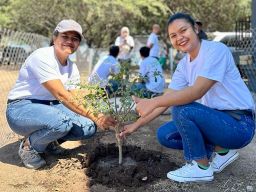 Kontribusi Sektor Lingkungan, PLN Tanam 283.739 Pohon Sepanjang 2023
