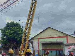 Jaringan Handal Saat Cuaca Ekstrem, PLN Icon Plus dan PLN UP3 Banyuwangi Menata Kabel di Tiang PLN