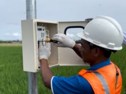 Panen Raya Sukses, Program _Electrifying Agriculture_ PLN Mampu Tingkatkan Produktivitas Pertanian Padi di Ponorogo