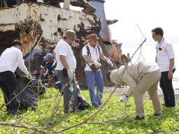 Gerakan Bersih Pelabuhan Ketapang, Kontribusi PLN Icon Plus Jaga Kelestarian Lingkungan