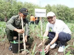 Sambut Nataru, PLN Gelar Beragam Aksi Sosial hingga Kampung PLN Mobile
