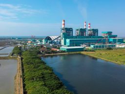 Tahun Baru Imlek, PLTU PLN Hasilkan 1,67 Juta MWh Listrik Hijau di 2024 dengan Co-Firing Biomassa