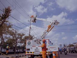 Durasi dan Frekuensi Gangguan Listrik Menurun, PLN Catat Kinerja Operasional Positif sepanjang 2024