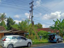 PLN Icon Plus Intensifkan Penataan Jaringan Fiber Optik demi Infrastruktur yang Tertib dan Andal