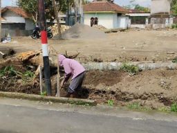 PLN UIP JBTB Dukung Pertanian Modern Boyolali lewat Hidroponik Elektrifikasi, "Listrik untuk Rakyat"