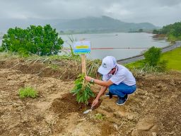 PLN Icon Plus & PLN Grup Jatim Tanam 10.000 Bibit Pohon di Selorejo Peringati Hari Menanam di 2025