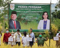 Ketua DPD RI: Pemerintah Harus Atasi Kelangkaan Bahan Pangan Jelang Ramadan