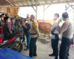 Viral ! Aksi Heroik Anggota Polsek Ranuyoso Lumajang Hadang Maling Sapi