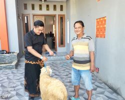 Hari Raya Idul Adha Ketua PMPR Korban Satu Ekor Kambing