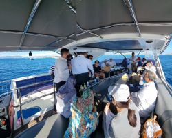 PLTS Messah Milik PLN Pukau Delegasi G20 saat Memanen Terik Surya