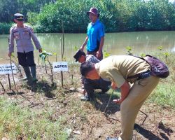 Melalui Penanaman Mangrove, Polres Tulungagung ikut Peringati Hari Mangrove Sedunia