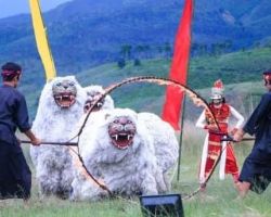 Singo Wulung dari Polres Bondowoso Akan Tampil di Malam Puncak Harmoni Nusantara Polda Jatim 2022