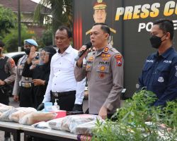 Polres Malang Berhasil Ungkap Kebun Ganja Seluas 1 Hektare di Lereng Semeru
