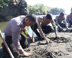 Aksi Peduli Lingkungan, Polres Blitar Tanam Puluhan Ribu Mangrove dan Lepas Tukik ke Pantai