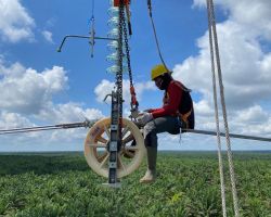 Integrasikan Sistem Kelistrikan Kalimantan, PLN Percepat Pembangunan SUTT 150 kV Pangkalan Bun-Sukamara