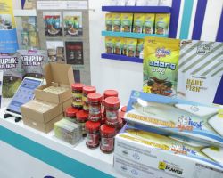 Ribuan Produk Laris di Marketplace PLN, Bisnis UMKM Ini Tumbuh Melesat