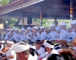 Upacara Ngerebek, Unit Lantas Polsek Abiansemal Carikan Jalan Alternatif