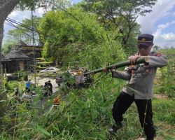 Polisi Bersama Dinas PU Jember Lakukan Pemangkasan Ranting Pohon, Tindaklanjuti Jumat Curhat