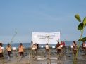 Upaya Konsisten Lestarikan Lingkungan, Kembali PLN UIP JBTB Gandeng Taman Nasional Baluran serta Komunitas Setempat Tanam Puluhan Ribu Mangrove