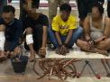 Polres Gresik Berhasil Amankan Tersangka Komplotan Pencuri Kabel PLN
