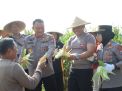 Polres Blitar Panen Jagung Manfaatkan Lahan Tidur Dukung Ketahanan Pangan