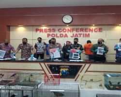 Subdit Tipiter Ditreskrimsus Polda Jatim Ungkap Tindak Pidana Penjualan Hewan Dilindungi 