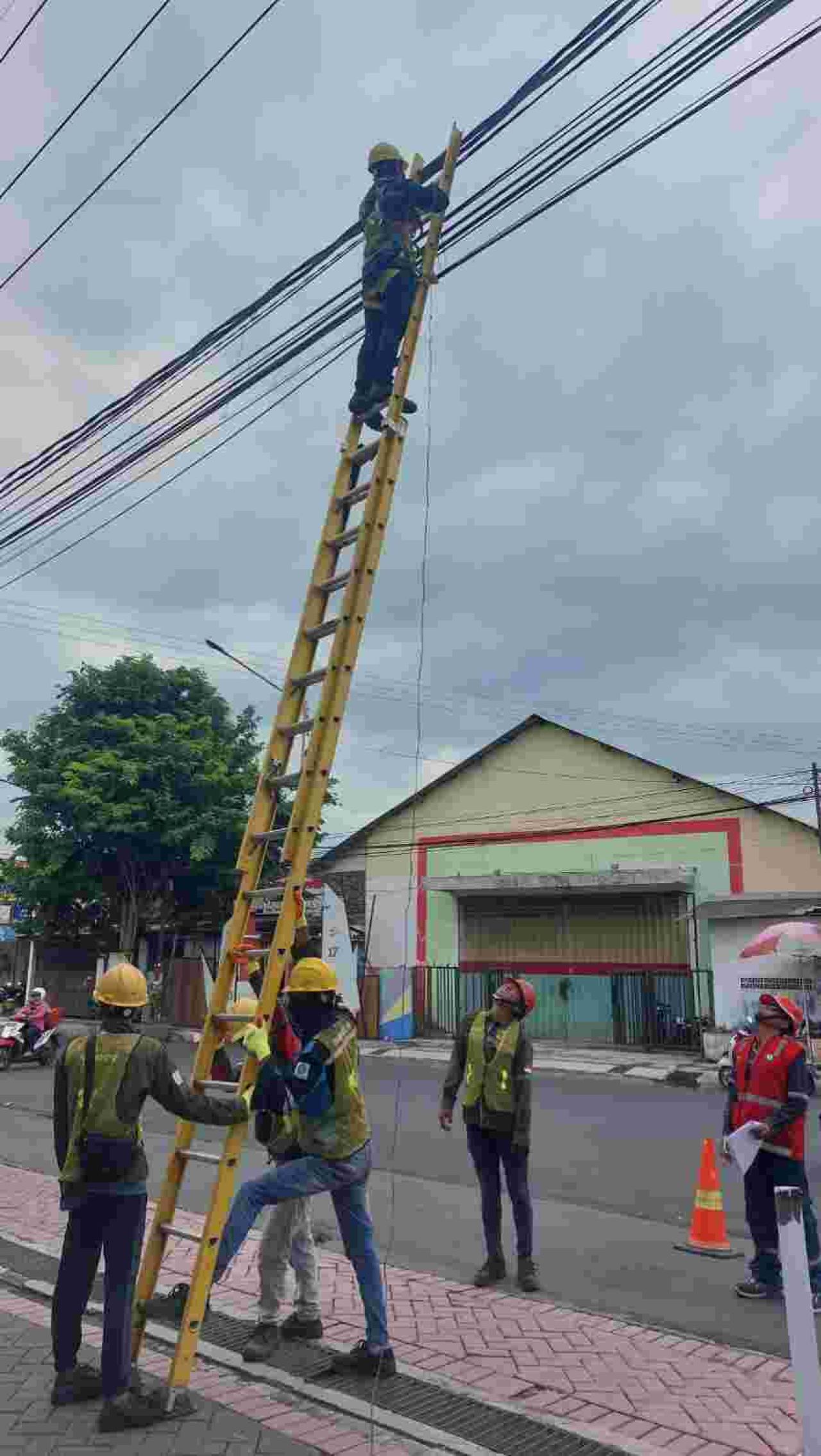 Jaringan Handal Saat Cuaca Ekstrem, PLN Icon Plus dan PLN UP3 Banyuwangi Menata Kabel di Tiang PLN