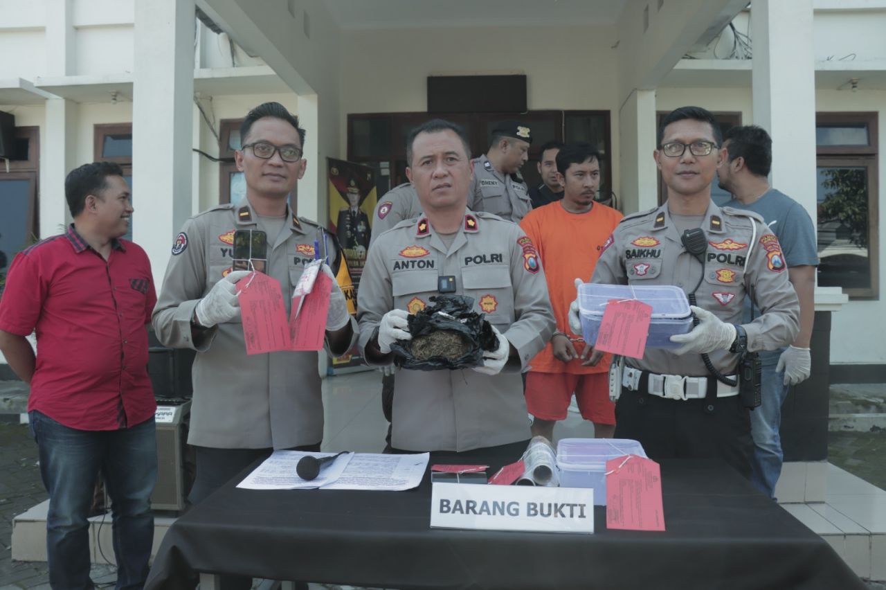 Polisi Berhasil Ungkap Jaringan Peredaran Ganja 2 Kilogram dan Tangkap Pelaku di Kota Malang   