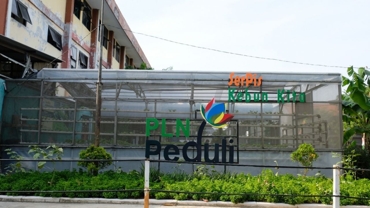 Sambut Nataru: PLN UIP JBTB Dukung Kelompok Tani Serpis Hidroponik UMKM Urban Farming di Surabaya.