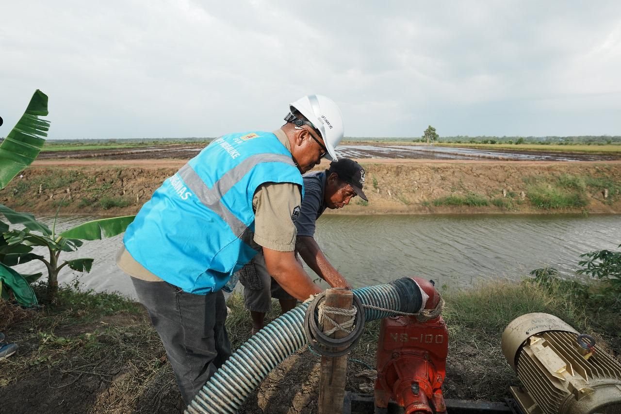 Momen Tahun Baru PLN Dukung Tranformasi Pertanian Modern, Electrifying Agriculture Raih 53.539 Pelanggan Baru di 2024