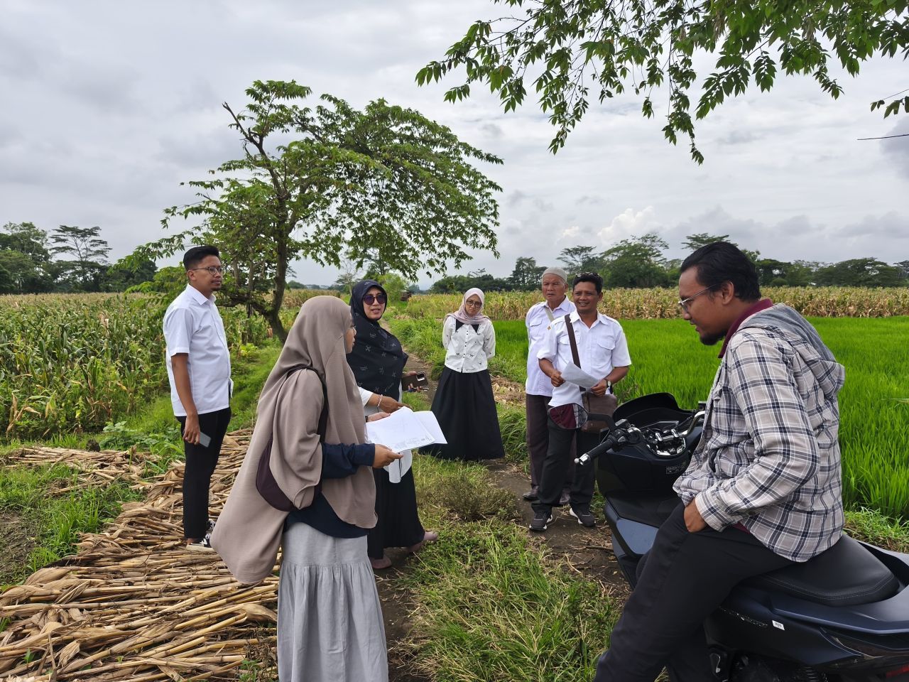 Perkuat Kepastian Hukum Aset Negara, PLN UIP JBTB Terima Sertipikat HGB SUTET 500 kV di Klaten