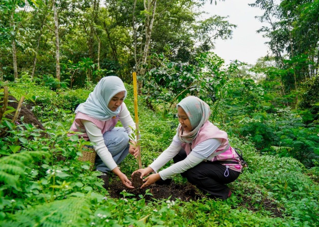 Srikandi PLN Icon Plus Jatim Peduli Lingkungan, Tanam 200 Bibit Pohon di Kaki Gunung Arjuno-Welirang