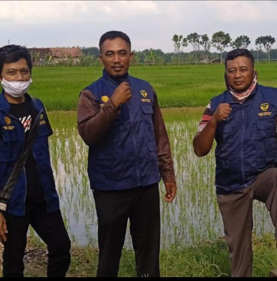 Sosok Hadi sp, Dari Seorang Kontraktor Banting Setir Jadi Seorang Petani