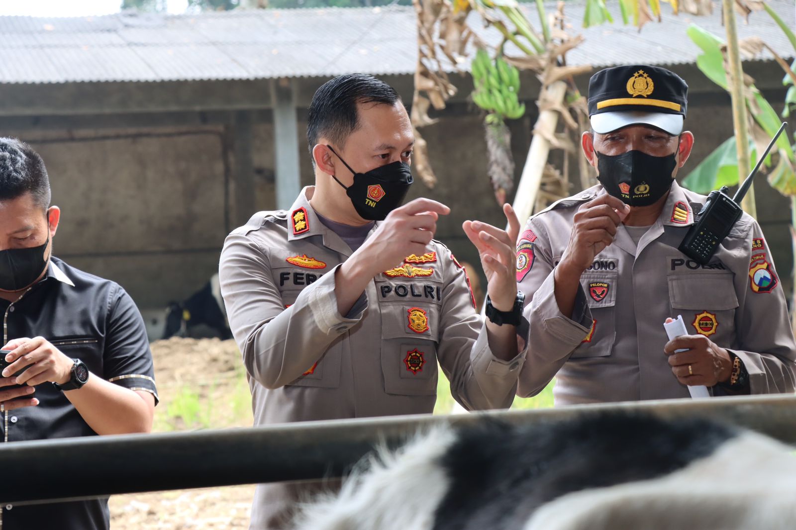 Polres Malang Kawal Percepatan Vaksinasi PMK, 12.319 Ekor Ternak Sudah Tervaksin