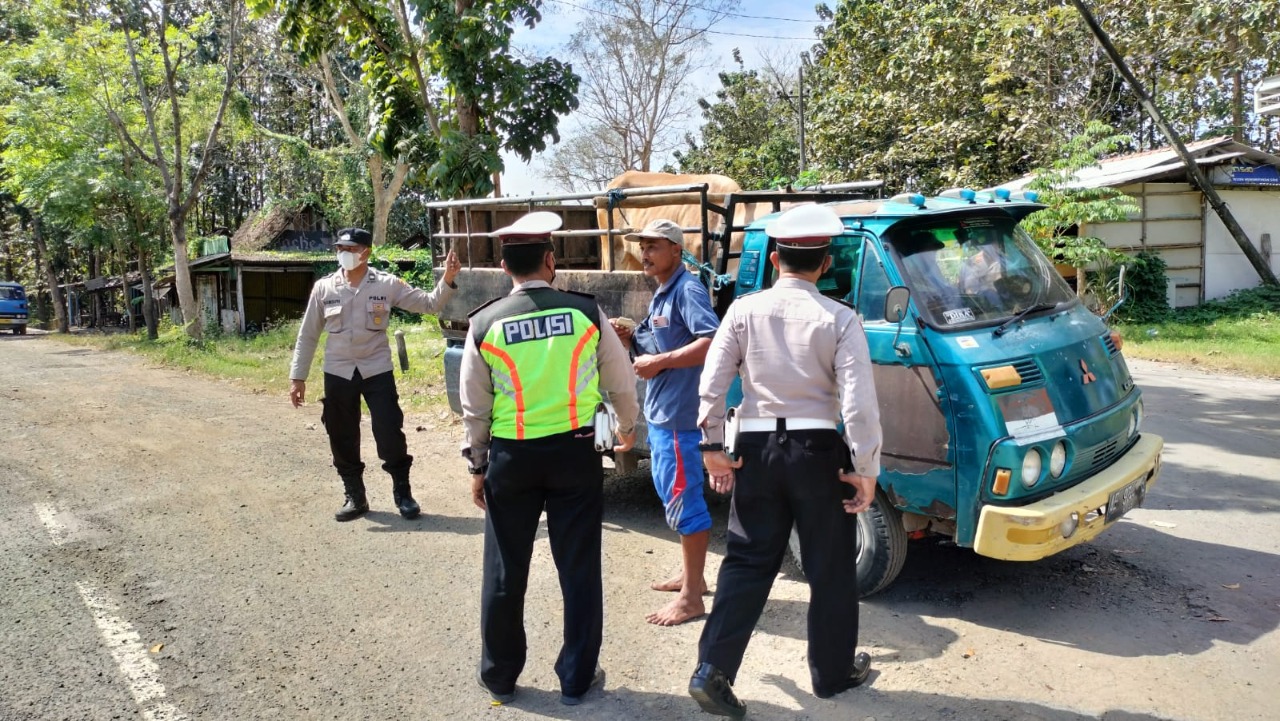 Polres Madiun Periksa SKKH Pengiriman Hewan Ternak Cegah PMK