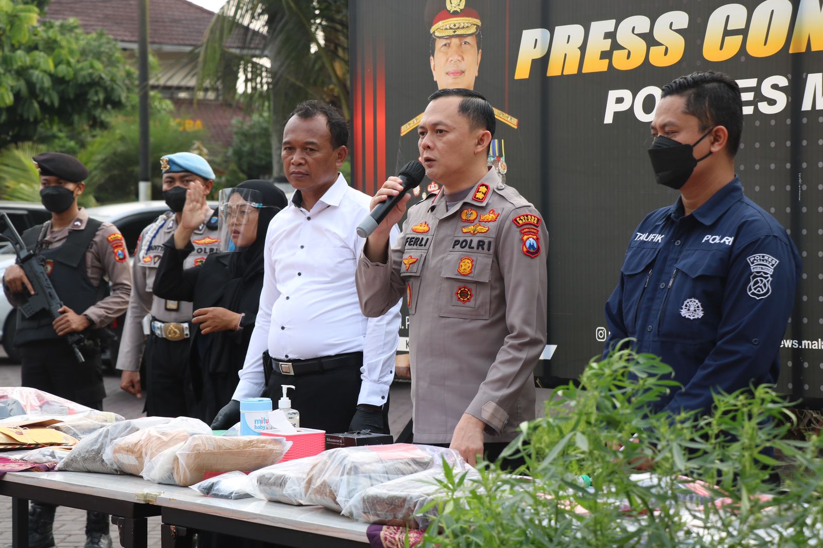 Polres Malang Berhasil Ungkap Kebun Ganja Seluas 1 Hektare di Lereng Semeru