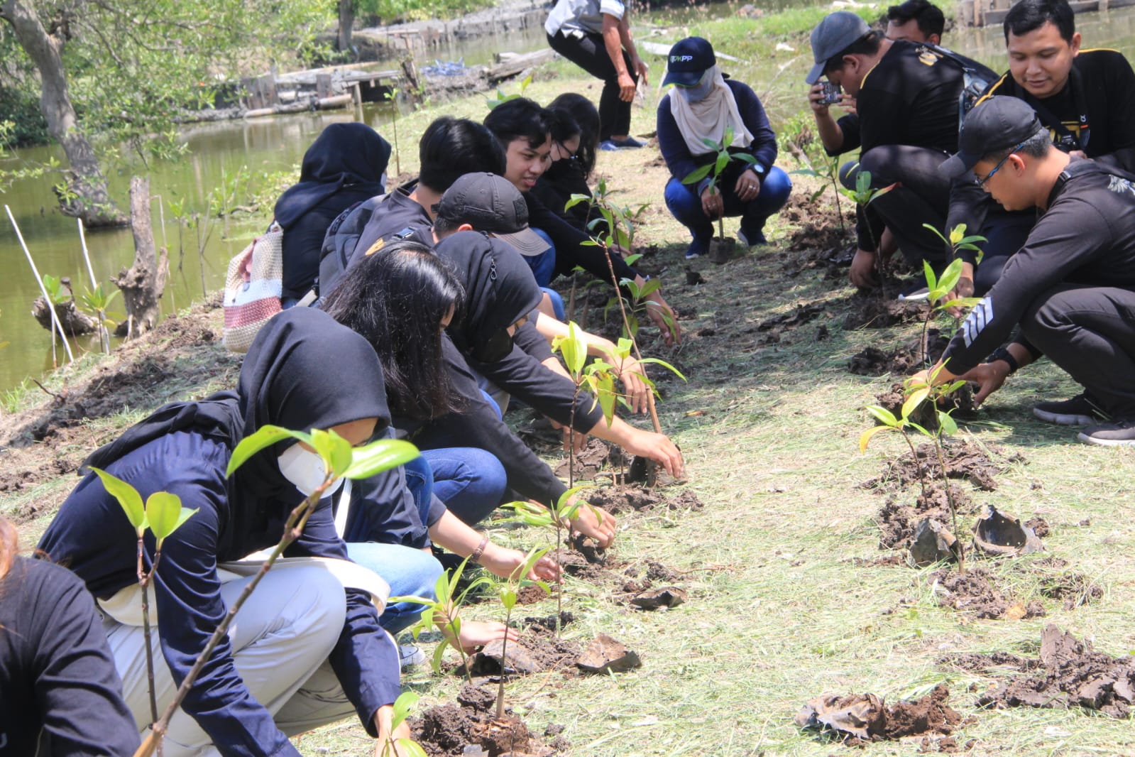 Peringati HUT Humas Polri ke-71, Polrestabes Surabaya Tanam Bibit Pohon Mangrove