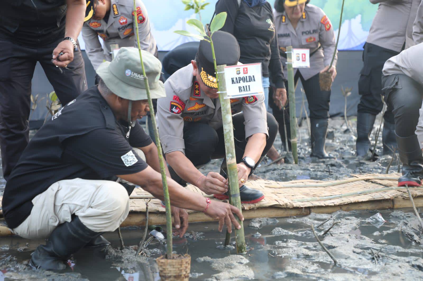 Kapolda Bali Tanam Mangrove Dalam Rangka Hari Bhayangkara Ke-77