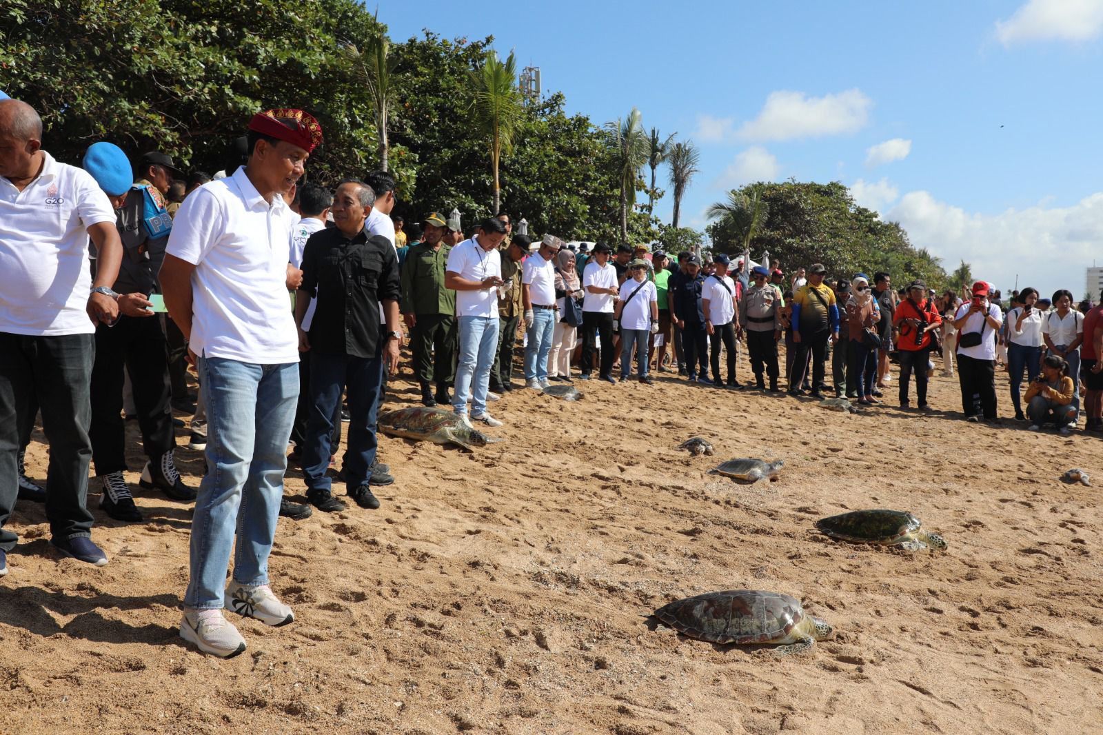 Jelang Hari Bhayangkara ke-77, Polda Bali Lepas Penyu