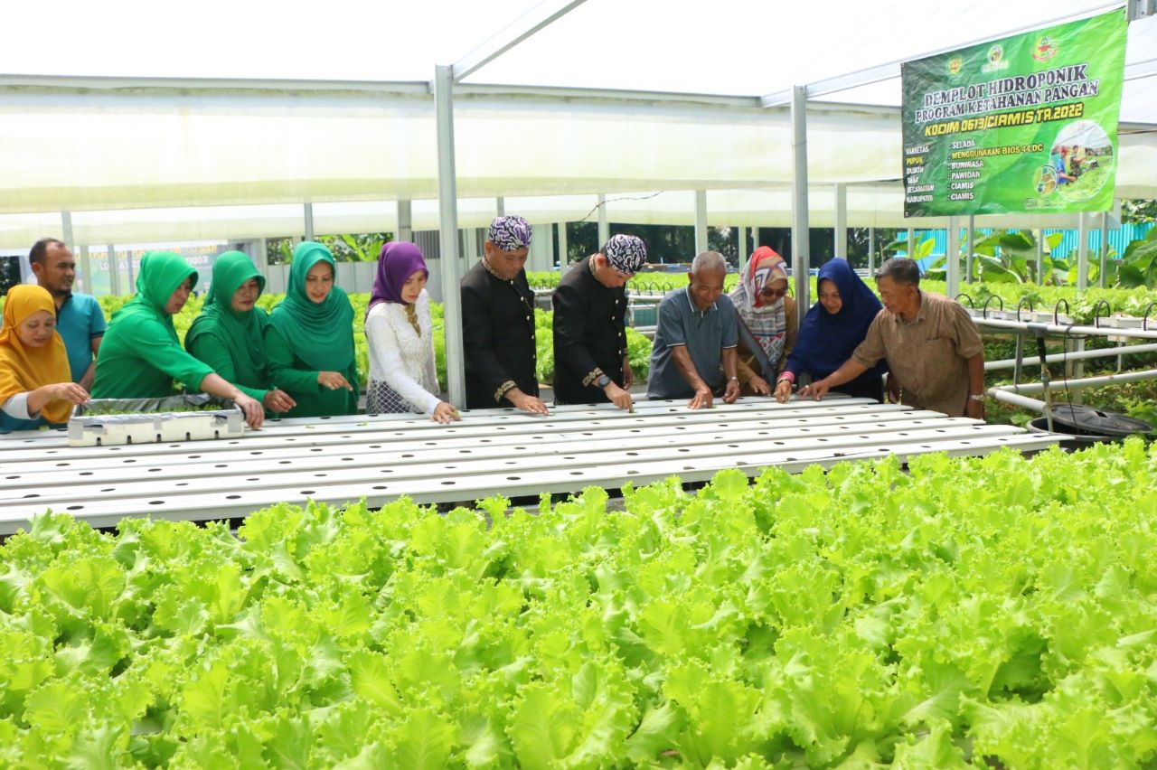 Tingkatkan Produksi Sayur, Dandim 0613/Ciamis Aplikasikan Bios-44 DC Pada Media Hidroponik