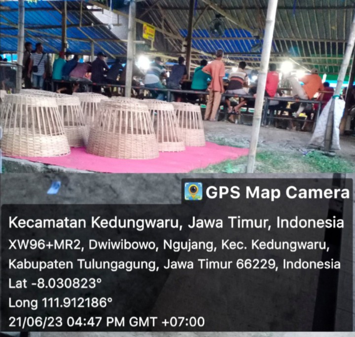 Perjudian dikabupaten Tulungagung Kembali Beroprasi, Omset Ratusan Juta, Diduga Oknum Polres Terima Upeti